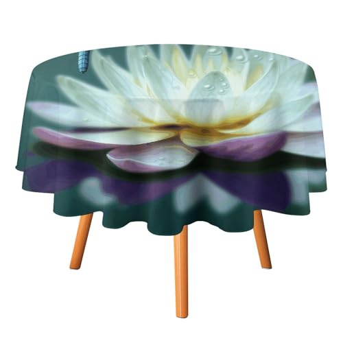 DWTJKMS Runde Tischdecke mit Libelle mit Seerose, für Picknick, Dinner-Party, Dekoration, Sommer, Herbst, Outdoor, Kreis, 178 x 177,8 cm, für Hochzeit, Geburtstag, Terrasse, Party DWTJKMS Runde Tischdecke mit Libelle mit Seerose, für Picknick, Dinner-Party, Dekoration, Sommer, Herbst, Outdoor, Kreis, 178 x 177,8 cm, für Hochzeit, Geburtstag, Terrasse, Party von DWTJKMS