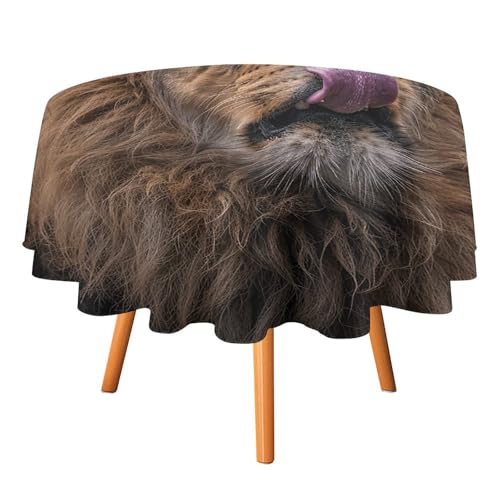 DWTJKMS Runde Tischdecke mit Löwenmotiv, für Picknick, Abendessen, Party, Dekoration, Sommer, Herbst, Outdoor, Kreisabdeckung, 127 x 127 cm, für Hochzeit, Geburtstag, Terrasse, Party DWTJKMS Runde Tischdecke mit Löwenmotiv, für Picknick, Abendessen, Party, Dekoration, Sommer, Herbst, Outdoor, Kreisabdeckung, 127 x 127 cm, für Hochzeit, Geburtstag, Terrasse, Party von DWTJKMS