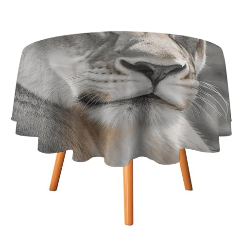 DWTJKMS Runde Tischdecke mit Löwenmotiv, für Picknick, Dinner-Party, Dekoration, Sommer, Herbst, Outdoor, 152,4 x 152,4 cm, für Hochzeit, Geburtstag, Terrasse, Party DWTJKMS Runde Tischdecke mit Löwenmotiv, für Picknick, Dinner-Party, Dekoration, Sommer, Herbst, Outdoor, 152,4 x 152,4 cm, für Hochzeit, Geburtstag, Terrasse, Party von DWTJKMS