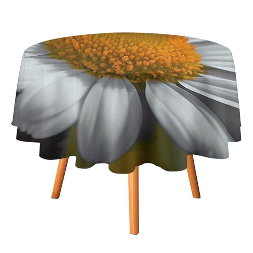 DWTJKMS Runde Tischdecke mit Marienkäfer-Gänseblümchen, für Picknick, Dinner-Party, Dekoration, für Sommer, Herbst, Outdoor, Kreis, 127 x 127 cm, für Hochzeit, Geburtstag, Terrasse, Party DWTJKMS Runde Tischdecke mit Marienkäfer-Gänseblümchen, für Picknick, Dinner-Party, Dekoration, für Sommer, Herbst, Outdoor, Kreis, 127 x 127 cm, für Hochzeit, Geburtstag, Terrasse, Party von DWTJKMS