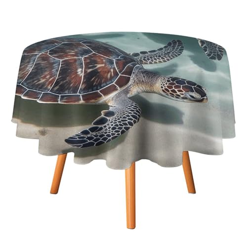 DWTJKMS Runde Tischdecke mit Meeresschildkröten, Picknick, Dinner-Party, Dekoration, Tischdecken, Sommer, Herbst, Outdoor, Kreisabdeckung, 152,4 x 152,4 cm, für Hochzeit, Geburtstag, Terrasse, Party DWTJKMS Runde Tischdecke mit Meeresschildkröten, Picknick, Dinner-Party, Dekoration, Tischdecken, Sommer, Herbst, Outdoor, Kreisabdeckung, 152,4 x 152,4 cm, für Hochzeit, Geburtstag, Terrasse, Party von DWTJKMS