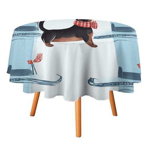 DWTJKMS Runde Tischdecke mit Pariser Dackel, für Picknick, Abendessen, Party, Dekoration, Sommer, Herbst, Outdoor, Kreisabdeckung, 152,4 x 152,4 cm, für Hochzeit, Geburtstag, Terrasse, Party DWTJKMS Runde Tischdecke mit Pariser Dackel, für Picknick, Abendessen, Party, Dekoration, Sommer, Herbst, Outdoor, Kreisabdeckung, 152,4 x 152,4 cm, für Hochzeit, Geburtstag, Terrasse, Party von DWTJKMS