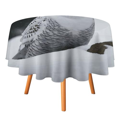 DWTJKMS Runde Tischdecke mit Schneeeule, Picknick, Dinner-Party, Dekoration, Tischdecken, Sommer, Herbst, Outdoor, Kreis, Abdeckung, 152,4 x 152,4 cm, für Hochzeit, Geburtstag, Terrasse, Party DWTJKMS Runde Tischdecke mit Schneeeule, Picknick, Dinner-Party, Dekoration, Tischdecken, Sommer, Herbst, Outdoor, Kreis, Abdeckung, 152,4 x 152,4 cm, für Hochzeit, Geburtstag, Terrasse, Party von DWTJKMS