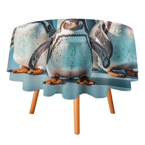 DWTJKMS Runde Tischdecke mit Tiermotiven, für Picknick, Dinner-Party, Dekoration, Sommer, Herbst, Outdoor, Kreisabdeckung, 91,4 x 91,4 cm, für Hochzeit, Geburtstag, Terrasse, Party DWTJKMS Runde Tischdecke mit Tiermotiven, für Picknick, Dinner-Party, Dekoration, Sommer, Herbst, Outdoor, Kreisabdeckung, 91,4 x 91,4 cm, für Hochzeit, Geburtstag, Terrasse, Party von DWTJKMS
