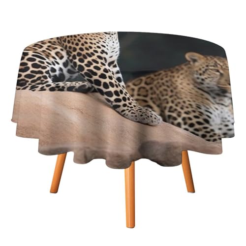 DWTJKMS Runde Tischdecke mit afrikanischem Leopard auf Felsen, für Picknick, Dinner-Party, Dekoration, Sommer, Herbst, Outdoor, Kreisabdeckung, 127 x 127 cm, für Hochzeit, Geburtstag, Terrasse, Party DWTJKMS Runde Tischdecke mit afrikanischem Leopard auf Felsen, für Picknick, Dinner-Party, Dekoration, Sommer, Herbst, Outdoor, Kreisabdeckung, 127 x 127 cm, für Hochzeit, Geburtstag, Terrasse, Party von DWTJKMS