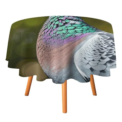 DWTJKMS Runde Tischdecke mit grauer Taube, für Picknick, Dinner-Party, Dekoration, Sommer, Herbst, Outdoor, Kreisabdeckung, 177,8 x 177,8 cm, für Hochzeit, Geburtstag, Terrasse, Party DWTJKMS Runde Tischdecke mit grauer Taube, für Picknick, Dinner-Party, Dekoration, Sommer, Herbst, Outdoor, Kreisabdeckung, 177,8 x 177,8 cm, für Hochzeit, Geburtstag, Terrasse, Party von DWTJKMS