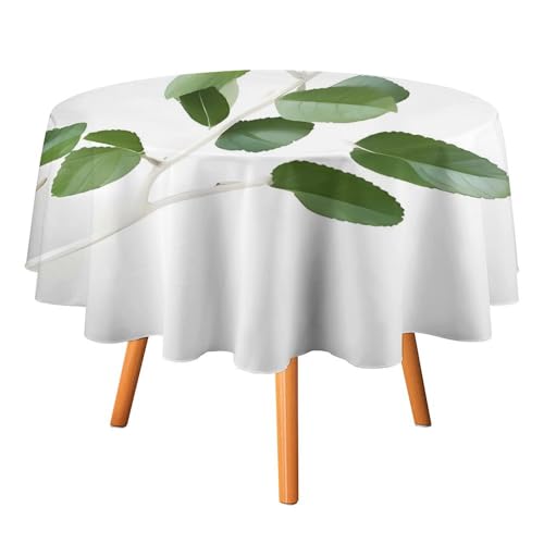 DWTJKMS Runde Tischdecke mit grünem Zweig, für Picknick, Dinner-Party, Dekoration, Sommer, Herbst, Outdoor, kreisförmig, 178 x 177,8 cm, für Hochzeit, Geburtstag, Terrasse, Party, Weiß DWTJKMS Runde Tischdecke mit grünem Zweig, für Picknick, Dinner-Party, Dekoration, Sommer, Herbst, Outdoor, kreisförmig, 178 x 177,8 cm, für Hochzeit, Geburtstag, Terrasse, Party, Weiß von DWTJKMS
