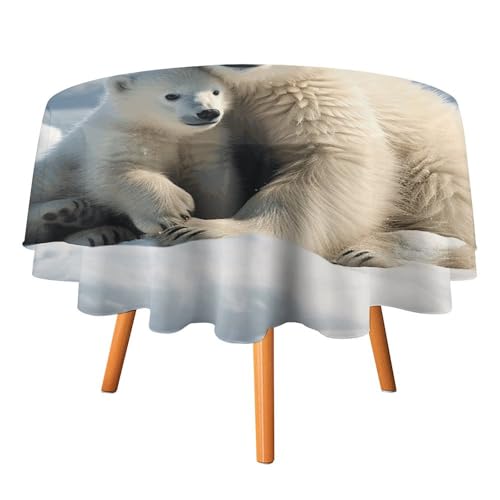 DWTJKMS Runde Tischdecke mit niedlichem Eisbär, für Picknick, Dinner-Party, Dekoration, Sommer, Herbst, Outdoor, Kreisabdeckung, 177,8 x 177,8 cm, für Hochzeit, Geburtstag, Terrasse, Party DWTJKMS Runde Tischdecke mit niedlichem Eisbär, für Picknick, Dinner-Party, Dekoration, Sommer, Herbst, Outdoor, Kreisabdeckung, 177,8 x 177,8 cm, für Hochzeit, Geburtstag, Terrasse, Party von DWTJKMS