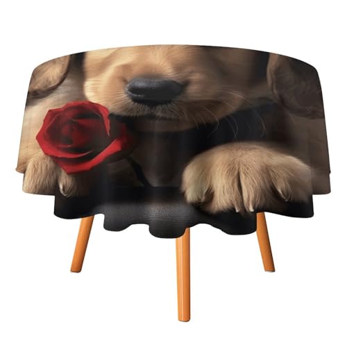 DWTJKMS Runde Tischdecke mit niedlichem Hund, für Picknick, Dinner-Party, Dekoration, für Sommer, Herbst, Outdoor, runde Abdeckung, 91,4 x 91,4 cm, für Hochzeit, Geburtstag, Terrasse, Party DWTJKMS Runde Tischdecke mit niedlichem Hund, für Picknick, Dinner-Party, Dekoration, für Sommer, Herbst, Outdoor, runde Abdeckung, 91,4 x 91,4 cm, für Hochzeit, Geburtstag, Terrasse, Party von DWTJKMS