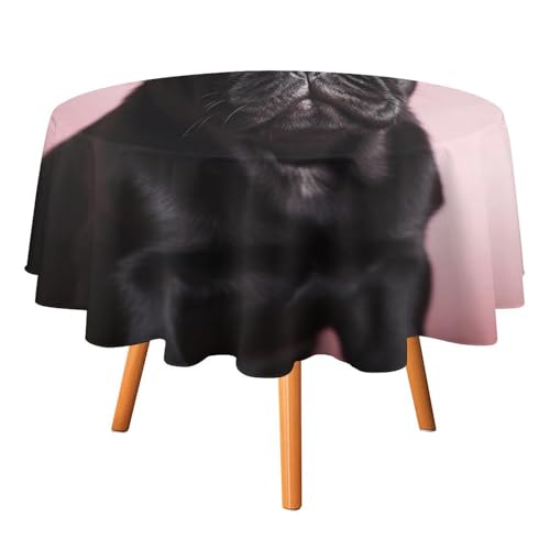 DWTJKMS Runde Tischdecke mit niedlichem Mops, für Picknick, Dinner-Party, Dekoration, für Sommer, Herbst, Outdoor, Kreisabdeckung, 152,4 x 152,4 cm, für Hochzeit, Geburtstag, Terrasse, Party DWTJKMS Runde Tischdecke mit niedlichem Mops, für Picknick, Dinner-Party, Dekoration, für Sommer, Herbst, Outdoor, Kreisabdeckung, 152,4 x 152,4 cm, für Hochzeit, Geburtstag, Terrasse, Party von DWTJKMS