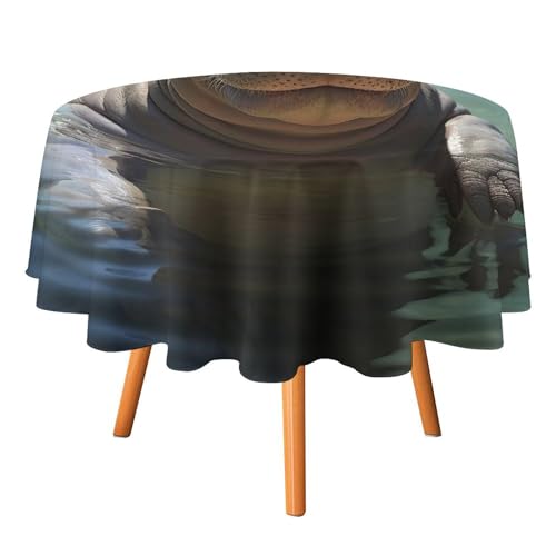 DWTJKMS Runde Tischdecke mit niedlichem Nilpferd, für Picknick, Dinner-Party, Dekoration, Sommer, Herbst, Outdoor, Kreisabdeckung, 91,4 x 91,4 cm, für Hochzeit, Geburtstag, Terrasse, Party DWTJKMS Runde Tischdecke mit niedlichem Nilpferd, für Picknick, Dinner-Party, Dekoration, Sommer, Herbst, Outdoor, Kreisabdeckung, 91,4 x 91,4 cm, für Hochzeit, Geburtstag, Terrasse, Party von DWTJKMS