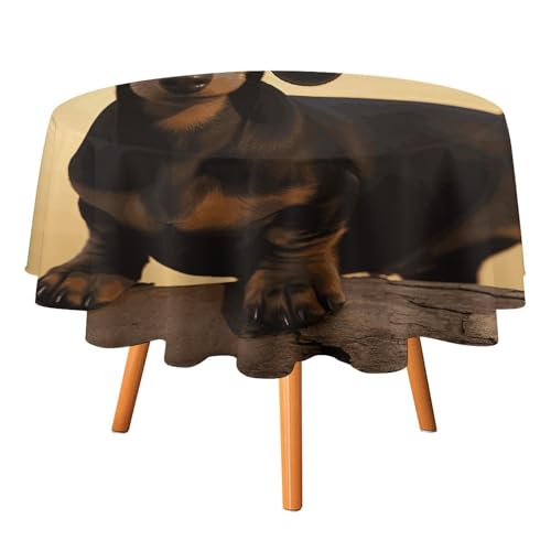 DWTJKMS Runde Tischdecke mit süßem Dackel, für Picknick, Dinner-Party, Dekoration, für Sommer, Herbst, Outdoor, runde Abdeckung, 91,4 x 91,4 cm, für Hochzeit, Geburtstag, Terrasse, Party DWTJKMS Runde Tischdecke mit süßem Dackel, für Picknick, Dinner-Party, Dekoration, für Sommer, Herbst, Outdoor, runde Abdeckung, 91,4 x 91,4 cm, für Hochzeit, Geburtstag, Terrasse, Party von DWTJKMS