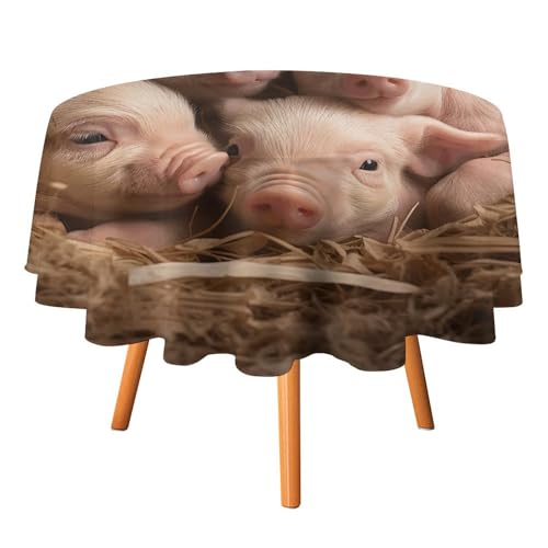 DWTJKMS Runde Tischdecke mit vier kleinen Schweinchen, für Picknick, Dinner-Party, Dekoration, für Sommer, Herbst, Outdoor, 152,4 x 152,4 cm, für Hochzeit, Geburtstag, Terrasse, Party DWTJKMS Runde Tischdecke mit vier kleinen Schweinchen, für Picknick, Dinner-Party, Dekoration, für Sommer, Herbst, Outdoor, 152,4 x 152,4 cm, für Hochzeit, Geburtstag, Terrasse, Party von DWTJKMS