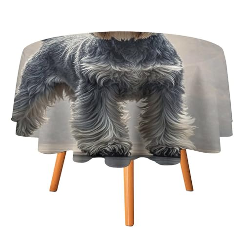 DWTJKMS Schnauzer Runde Tischdecke, Picknick, Dinner-Party, Dekoration, Tischdecken, Sommer, Herbst, Outdoor, Kreisabdeckung, 127 x 127 cm, für Hochzeit, Geburtstag, Terrasse, Party DWTJKMS Schnauzer Runde Tischdecke, Picknick, Dinner-Party, Dekoration, Tischdecken, Sommer, Herbst, Outdoor, Kreisabdeckung, 127 x 127 cm, für Hochzeit, Geburtstag, Terrasse, Party von DWTJKMS