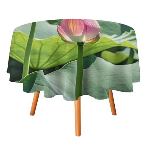 DWTJKMS Schöne runde Tischdecke mit Lotusblumen, für Picknick, Dinner-Party, Dekoration, Sommer, Herbst, Outdoor, Kreisabdeckung, 177,8 x 177,8 cm, für Hochzeit, Geburtstag, Terrasse, Party DWTJKMS Schöne runde Tischdecke mit Lotusblumen, für Picknick, Dinner-Party, Dekoration, Sommer, Herbst, Outdoor, Kreisabdeckung, 177,8 x 177,8 cm, für Hochzeit, Geburtstag, Terrasse, Party von DWTJKMS