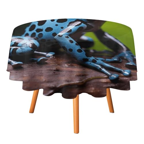 DWTJKMS Tischdecke, Motiv: Dartfrosch, rund, für Picknick, Dinner-Party, Dekoration, Sommer, Herbst, Outdoor, Kreisabdeckung, 152,4 x 152,4 cm, für Hochzeit, Geburtstag, Terrasse, Party, Blau DWTJKMS Tischdecke, Motiv: Dartfrosch, rund, für Picknick, Dinner-Party, Dekoration, Sommer, Herbst, Outdoor, Kreisabdeckung, 152,4 x 152,4 cm, für Hochzeit, Geburtstag, Terrasse, Party, Blau von DWTJKMS