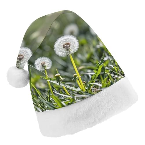 DWTJKMS Weihnachtsmütze, Weihnachtsmannmütze, Geschenk, Hüte, Weihnachten, Urlaub, Uni, Löwenzahn, Blumenstiel, Weihnachtsmütze, Partyhut DWTJKMS Weihnachtsmütze, Weihnachtsmannmütze, Geschenk, Hüte, Weihnachten, Urlaub, Uni, Löwenzahn, Blumenstiel, Weihnachtsmütze, Partyhut von DWTJKMS
