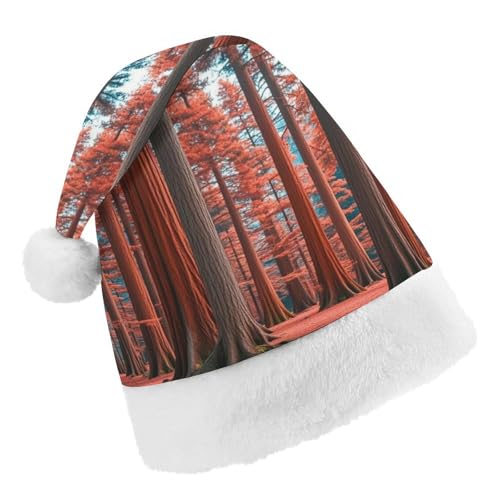 DWTJKMS Weihnachtsmütze, Weihnachtsmannmütze, Geschenk, Hüte, Weihnachten, Urlaub, Uni, Muir Woods, Weihnachtsmütze, Partyhut DWTJKMS Weihnachtsmütze, Weihnachtsmannmütze, Geschenk, Hüte, Weihnachten, Urlaub, Uni, Muir Woods, Weihnachtsmütze, Partyhut von DWTJKMS