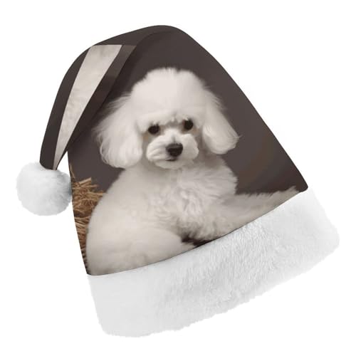 DWTJKMS Weihnachtsmütze, Weihnachtsmannmütze, Geschenk, Hüte, Weihnachten, Urlaub, Uni, französischer Pudel, Weihnachtsmütze, Partyhut DWTJKMS Weihnachtsmütze, Weihnachtsmannmütze, Geschenk, Hüte, Weihnachten, Urlaub, Uni, französischer Pudel, Weihnachtsmütze, Partyhut von DWTJKMS