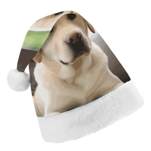 DWTJKMS Weihnachtsmütze, Weihnachtsmannmütze, Geschenk, Hüte, Weihnachten, Urlaub, Uni, niedlicher Labrador-Hund, Weihnachtsmütze, Partyhut DWTJKMS Weihnachtsmütze, Weihnachtsmannmütze, Geschenk, Hüte, Weihnachten, Urlaub, Uni, niedlicher Labrador-Hund, Weihnachtsmütze, Partyhut von DWTJKMS