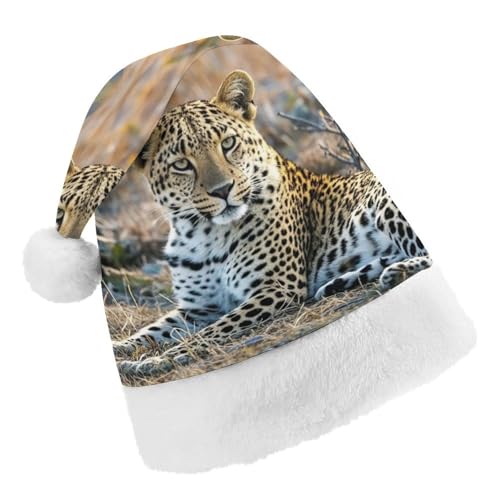 DWTJKMS Weihnachtsmütze, Weihnachtsmannmütze, Geschenk für Weihnachten, Urlaub, Uni, ernsthafter Leopardenmuster, Weihnachtsmütze, Partyhut DWTJKMS Weihnachtsmütze, Weihnachtsmannmütze, Geschenk für Weihnachten, Urlaub, Uni, ernsthafter Leopardenmuster, Weihnachtsmütze, Partyhut von DWTJKMS