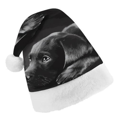 DWTJKMS Weihnachtsmütze, Weihnachtsmannmütze, Geschenk für Weihnachten, Urlaub, Uni, schwarzer Labrador, Welpe, Weihnachtsmütze, Partyhut DWTJKMS Weihnachtsmütze, Weihnachtsmannmütze, Geschenk für Weihnachten, Urlaub, Uni, schwarzer Labrador, Welpe, Weihnachtsmütze, Partyhut von DWTJKMS