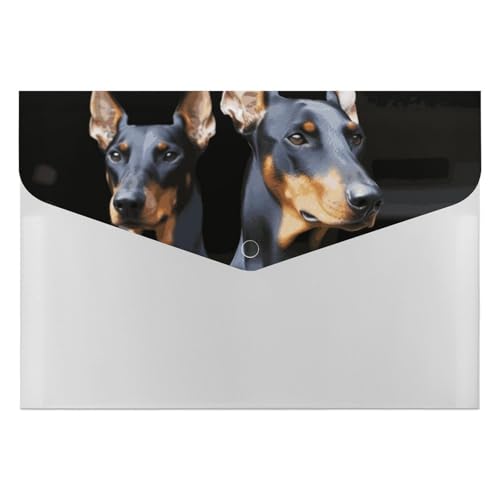 Doberman Aktenordner, Organizer, langlebig, mit 6 Fächern, Ordner für Aktenschrank, Büro, Lebenslauf-Portfolio von DWTJKMS