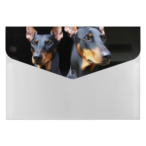Doberman Aktenordner, Organizer, langlebig, mit 6 Fächern, Ordner für Aktenschrank, Büro, Lebenslauf-Portfolio Doberman Aktenordner, Organizer, langlebig, mit 6 Fächern, Ordner für Aktenschrank, Büro, Lebenslauf-Portfolio von DWTJKMS