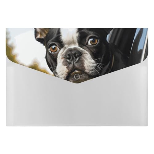 Dokumentenmappe, Motiv: Welpe, Hund, Boston Terrier, langlebig, mit 6 Fächern, Ordner für Aktenschrank, Büro, Lebenslauf-Portfolio von DWTJKMS