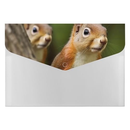 Eichhörnchen-Aktenordner, Organizer, langlebig, mit 6 Fächern, Ordner für Aktenschrank, Büro, Lebenslauf-Portfolio Eichhörnchen-Aktenordner, Organizer, langlebig, mit 6 Fächern, Ordner für Aktenschrank, Büro, Lebenslauf-Portfolio von DWTJKMS