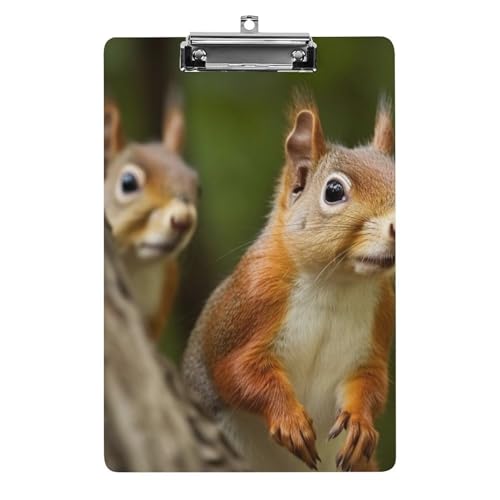 Eichhörnchen-Klemmbrett aus Acryl, niedlich, modisch, dekorativ, 31,8 x 21,6 cm, Standard-A4-Größe, Acryl-Clip für Klassenzimmer, Lehrer, Bürobedarf Eichhörnchen-Klemmbrett aus Acryl, niedlich, modisch, dekorativ, 31,8 x 21,6 cm, Standard-A4-Größe, Acryl-Clip für Klassenzimmer, Lehrer, Bürobedarf von DWTJKMS