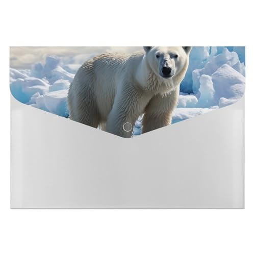 Eisbär-Aktenordner, Organizer, langlebig, mit 6 Fächern, Ordner für Aktenschrank, Büro, Lebenslauf-Portfolio Eisbär-Aktenordner, Organizer, langlebig, mit 6 Fächern, Ordner für Aktenschrank, Büro, Lebenslauf-Portfolio von DWTJKMS