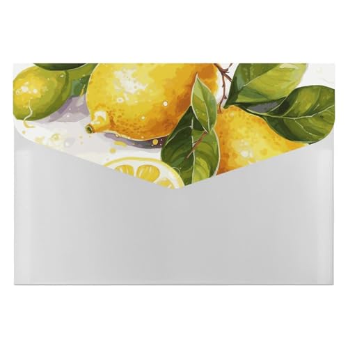 Fruits Lemon Aktenordner, Organizer, langlebig, mit 6 Fächern, Ordner für Aktenschrank, Büro, Lebenslauf-Portfolio von DWTJKMS