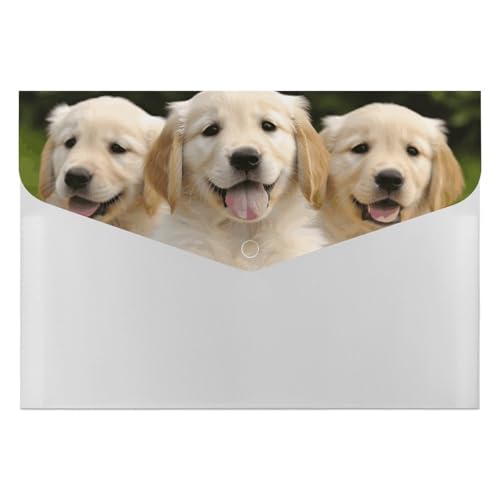 Golden Retriever Puppies Aktenordner, Organizer, langlebig, mit 6 Fächern, Ordner für Aktenschrank, Büro, Lebenslauf-Portfolio Golden Retriever Puppies Aktenordner, Organizer, langlebig, mit 6 Fächern, Ordner für Aktenschrank, Büro, Lebenslauf-Portfolio von DWTJKMS