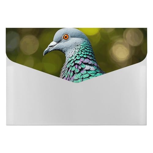 Grey Pigeon Aktenordner, Organizer, langlebig, mit 6 Fächern, Ordner für Aktenschrank, Büro, Lebenslauf-Portfolio Grey Pigeon Aktenordner, Organizer, langlebig, mit 6 Fächern, Ordner für Aktenschrank, Büro, Lebenslauf-Portfolio von DWTJKMS