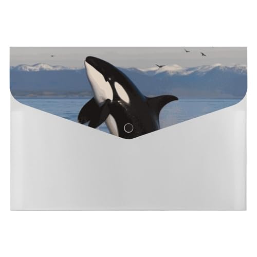 Killer Whale Aktenordner, Organizer, langlebig, mit 6 Fächern, Ordner für Aktenschrank, Büro, Lebenslauf-Portfolio Killer Whale Aktenordner, Organizer, langlebig, mit 6 Fächern, Ordner für Aktenschrank, Büro, Lebenslauf-Portfolio von DWTJKMS