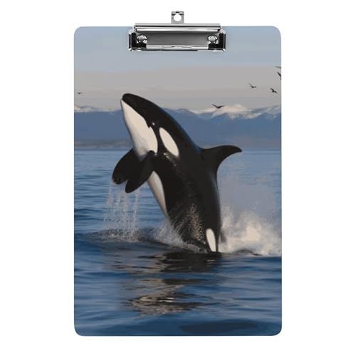 Killer Whale Klemmbrett aus Acryl, niedlich, modisch, dekorativ, 31,8 x 21,6 cm, Standard-A4-Größe, Acryl-Clip für Klassenzimmer, Lehrer, Bürobedarf Killer Whale Klemmbrett aus Acryl, niedlich, modisch, dekorativ, 31,8 x 21,6 cm, Standard-A4-Größe, Acryl-Clip für Klassenzimmer, Lehrer, Bürobedarf von DWTJKMS