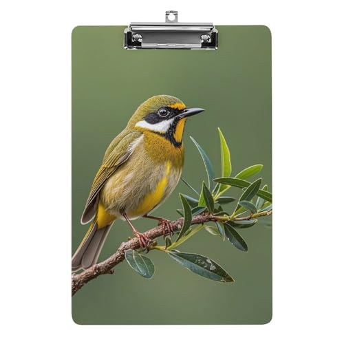 Klemmbrett für den Außenbereich, olivgrün, blühende Vögel, Acryl, niedlich, modisch, 31,8 x 21,6 cm, Standard-A4-Größe, Acryl-Clip für Klassenzimmer, Lehrer, Bürobedarf Klemmbrett für den Außenbereich, olivgrün, blühende Vögel, Acryl, niedlich, modisch, 31,8 x 21,6 cm, Standard-A4-Größe, Acryl-Clip für Klassenzimmer, Lehrer, Bürobedarf von DWTJKMS
