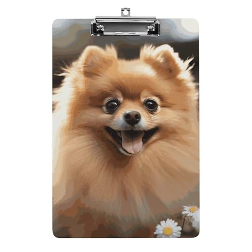 Klemmbrett mit Zwergspitz, Acryl, niedlich, modisch, dekorativ, 31,8 x 21,6 cm, Standard-A4-Größe, Acryl-Clip für Klassenzimmer, Lehrer, Bürobedarf Klemmbrett mit Zwergspitz, Acryl, niedlich, modisch, dekorativ, 31,8 x 21,6 cm, Standard-A4-Größe, Acryl-Clip für Klassenzimmer, Lehrer, Bürobedarf von DWTJKMS