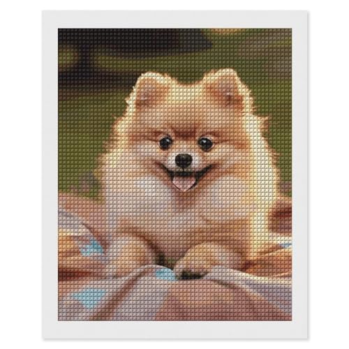 Kurzhaarige Pomeranian Diamond Art Painting 5D DIY Diamond Painting Diamond Picture Kits für Erwachsene Full Square Drill Diamant Punkte Gemälde für Anfänger Gem Art Painting Kurzhaarige Pomeranian Diamond Art Painting 5D DIY Diamond Painting Diamond Picture Kits für Erwachsene Full Square Drill Diamant Punkte Gemälde für Anfänger Gem Art Painting von DWTJKMS