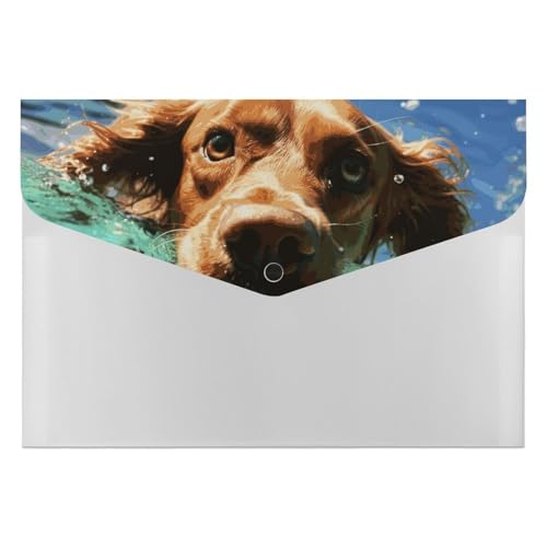 Lustiger Hundeordner mit schwimmendem Hund, langlebig, mit 6 Fächern, Ordner für Aktenschrank, Büro, Lebenslauf-Portfolio Lustiger Hundeordner mit schwimmendem Hund, langlebig, mit 6 Fächern, Ordner für Aktenschrank, Büro, Lebenslauf-Portfolio von DWTJKMS