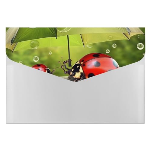 Lustiger Marienkäfer mit Regenschirmen, Aktenordner, Organizer, langlebig, mit 6 Fächern, Ordner für Aktenschrank, Büro, Lebenslauf-Portfolio Lustiger Marienkäfer mit Regenschirmen, Aktenordner, Organizer, langlebig, mit 6 Fächern, Ordner für Aktenschrank, Büro, Lebenslauf-Portfolio von DWTJKMS