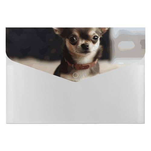 Niedlicher Chihuahua-Aktenordner, Organizer, langlebig, mit 6 Fächern, Ordner für Aktenschrank, Büro, Lebenslauf-Portfolio Niedlicher Chihuahua-Aktenordner, Organizer, langlebig, mit 6 Fächern, Ordner für Aktenschrank, Büro, Lebenslauf-Portfolio von DWTJKMS