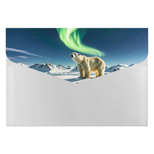 Northern Lights Aktenordner mit Eisbär, langlebig, mit 6 Fächern, Ordner für Aktenschrank, Büro, Lebenslauf-Portfolio von DWTJKMS
