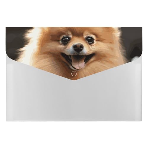Pomeranian Hunde-Aktenordner, Organizer, langlebig, mit 6 Fächern, Ordner für Aktenschrank, Büro, Lebenslauf-Portfolio Pomeranian Hunde-Aktenordner, Organizer, langlebig, mit 6 Fächern, Ordner für Aktenschrank, Büro, Lebenslauf-Portfolio von DWTJKMS