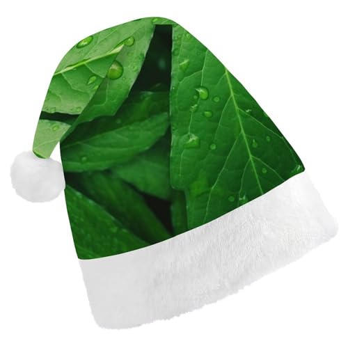 DWVSFJM Weihnachtsmütze mit grünen Blättern, weiche Weihnachtsmütze für Erwachsene, waschbar, Uni, stilvolle Urlaubsmütze DWVSFJM Weihnachtsmütze mit grünen Blättern, weiche Weihnachtsmütze für Erwachsene, waschbar, Uni, stilvolle Urlaubsmütze von DWVSFJM