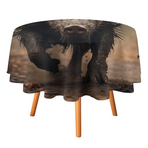 DWVTSLH Runde Tischdecken mit Wildschwein-Fotos, Herbst-Tischdecken, knitterfrei, Stoff-Tischdecken, rund, 178 cm, für Esszimmer, Küche, Hochzeit, Party usw DWVTSLH Runde Tischdecken mit Wildschwein-Fotos, Herbst-Tischdecken, knitterfrei, Stoff-Tischdecken, rund, 178 cm, für Esszimmer, Küche, Hochzeit, Party usw von DWVTSLH