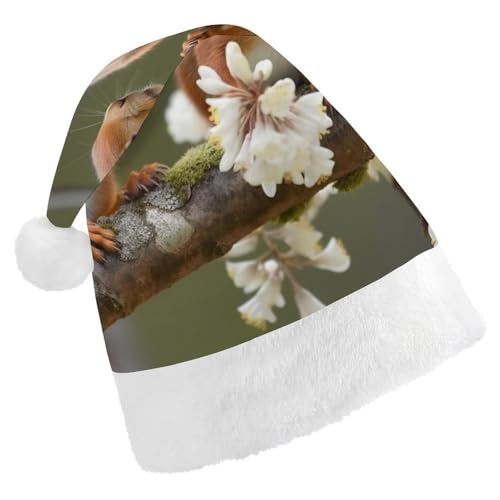 DWVTSLH Weihnachtsmütze, Eichhörnchen, bedruckt, Weihnachtsmannmütze, weicher und bequemer Samt, verdickte Weihnachtsmütze, geeignet für Weihnachten, Neujahr, Urlaub, Partyzubehör von DWVTSLH