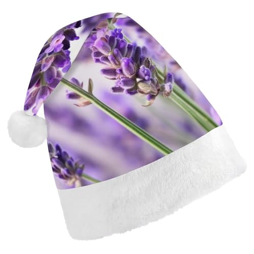DWVTSLH Weihnachtsmütze, Lavendelblüte, bedruckt, Weihnachtsmannmütze, weicher und bequemer Samt, verdickte Weihnachtsmütze, geeignet für Weihnachten, Neujahr, Urlaub, Partyzubehör DWVTSLH Weihnachtsmütze, Lavendelblüte, bedruckt, Weihnachtsmannmütze, weicher und bequemer Samt, verdickte Weihnachtsmütze, geeignet für Weihnachten, Neujahr, Urlaub, Partyzubehör von DWVTSLH
