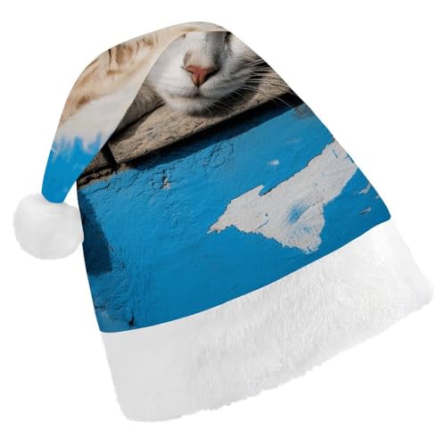 DWVTSLH Weihnachtsmütze, schlafende kleine Katze, bedruckt, Weihnachtsmannmütze, weicher und bequemer Samt, verdickte Weihnachtsmütze, geeignet für Weihnachten, Neujahr, Urlaub, Partyzubehör DWVTSLH Weihnachtsmütze, schlafende kleine Katze, bedruckt, Weihnachtsmannmütze, weicher und bequemer Samt, verdickte Weihnachtsmütze, geeignet für Weihnachten, Neujahr, Urlaub, Partyzubehör von DWVTSLH